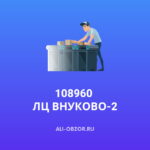 108960 ЛЦ ВНУКОВО-2